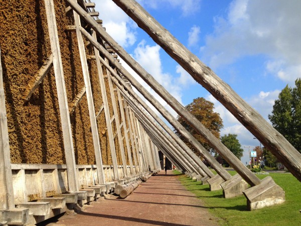 Spazierweg unmittelbar neben der Gradieranlage.