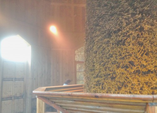 Bad Dürrenberg Kaltinhalierhalle