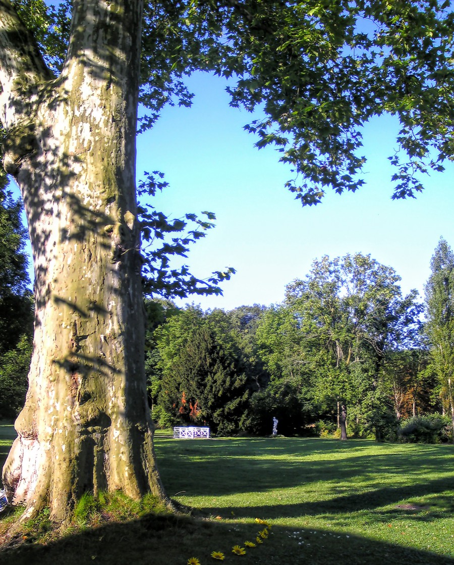 ディスカウ城と公園