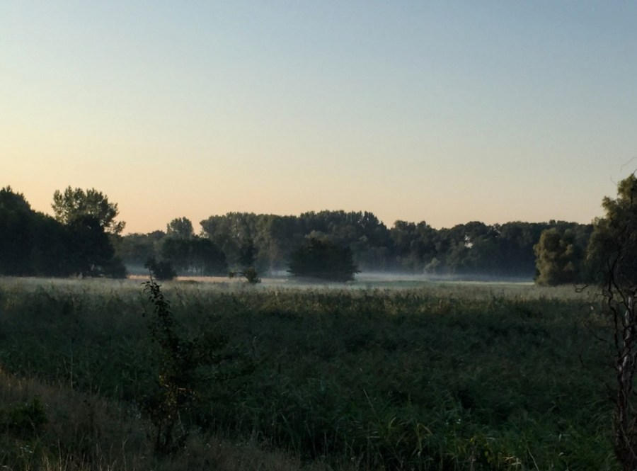 朝07:00時、ディスカウ公園の辺りの景色、ライデ川のそばにあら草原