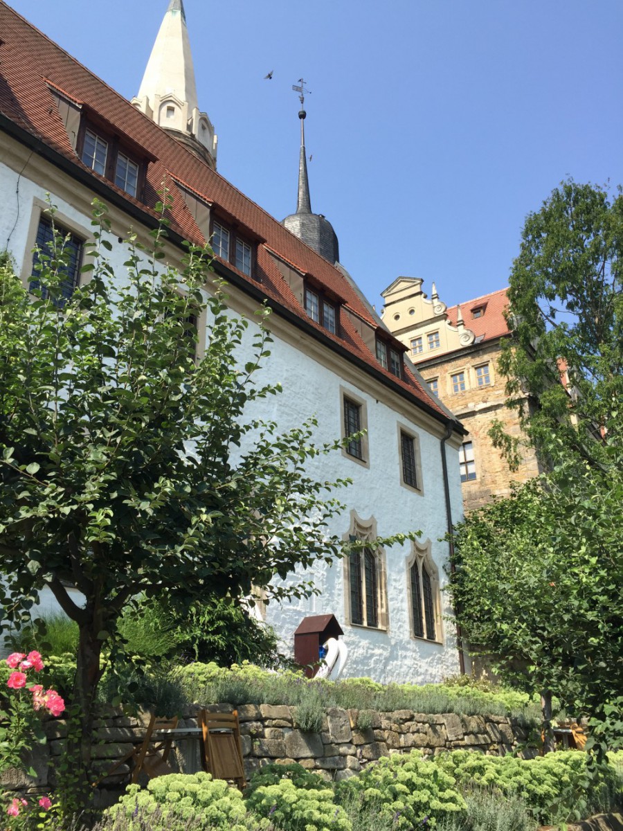 メルゼブルク大聖堂のChapter Houseの裏にある庭