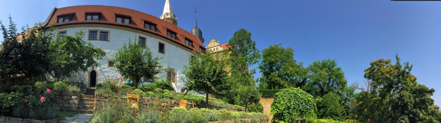 メルゼブルク大聖堂のChapter Houseの裏にある庭