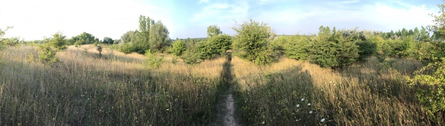 ディスカウ公園の辺りの景色