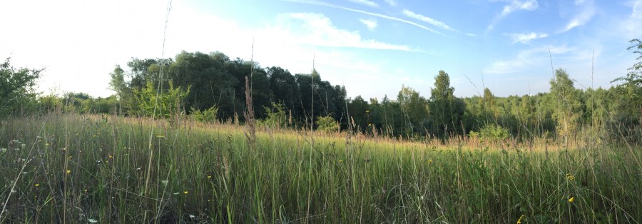 ディスカウ公園の辺りの景色