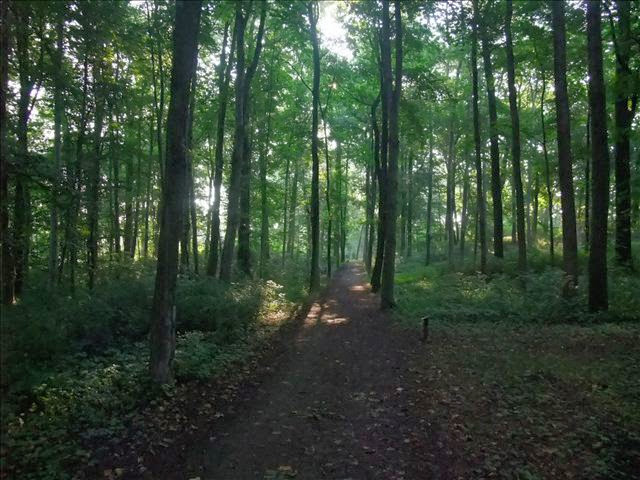 ディスカウ城と公園