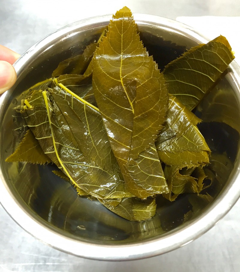 Eingelegte, salzige Blätter der Kirsche. 桜の葉