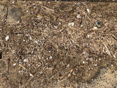 Landfill or sandy Beach 